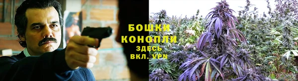 MDMA Premium VHQ Богородицк